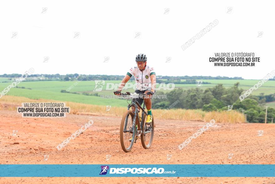 1ª EDIÇÃO DESAFIO ABELHA GRANDE - XCM