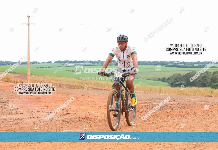 1ª EDIÇÃO DESAFIO ABELHA GRANDE - XCM