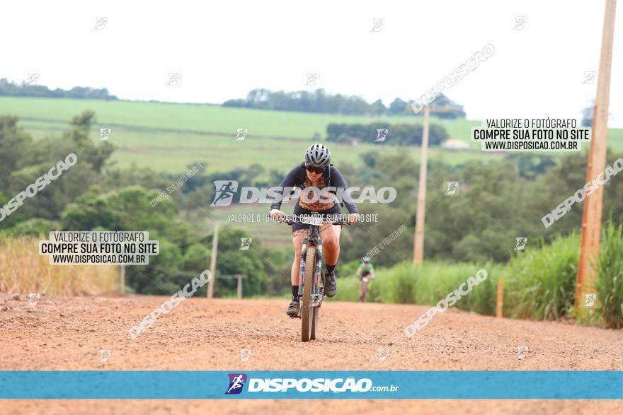 1ª EDIÇÃO DESAFIO ABELHA GRANDE - XCM