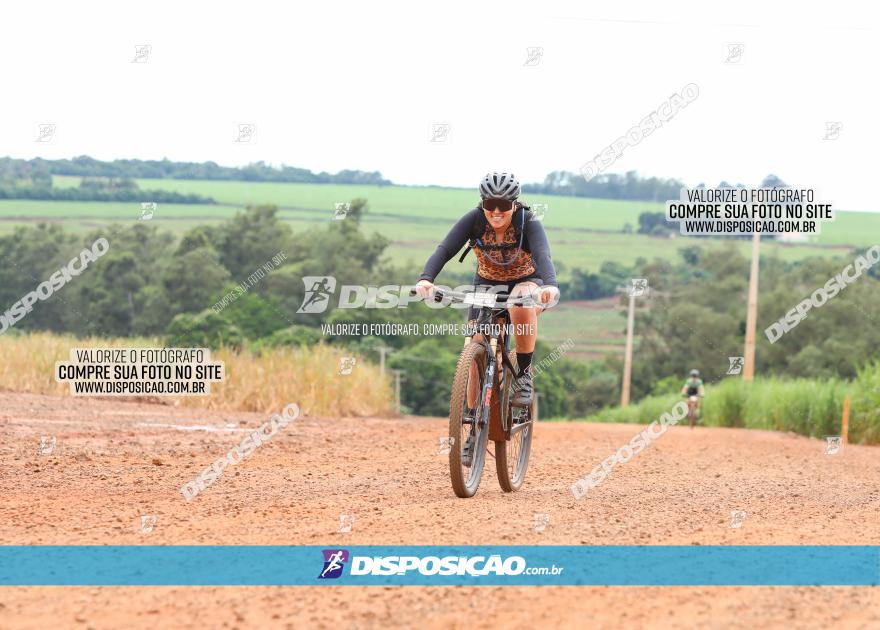 1ª EDIÇÃO DESAFIO ABELHA GRANDE - XCM