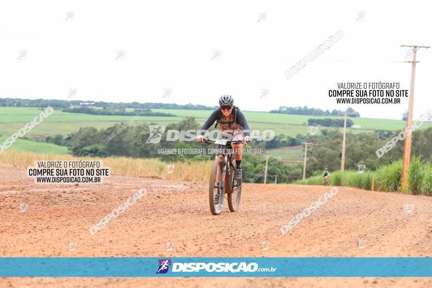 1ª EDIÇÃO DESAFIO ABELHA GRANDE - XCM