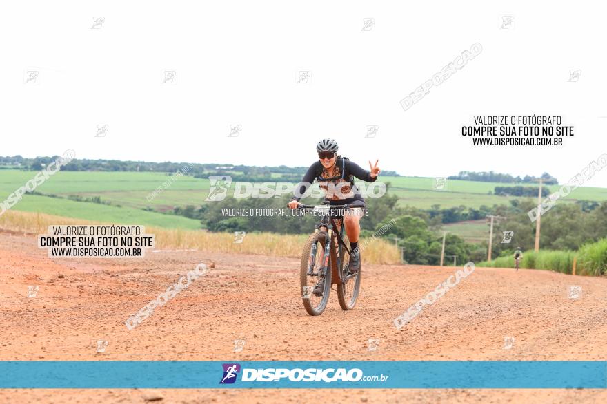 1ª EDIÇÃO DESAFIO ABELHA GRANDE - XCM