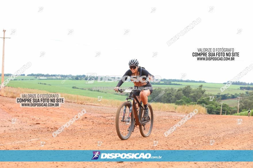 1ª EDIÇÃO DESAFIO ABELHA GRANDE - XCM