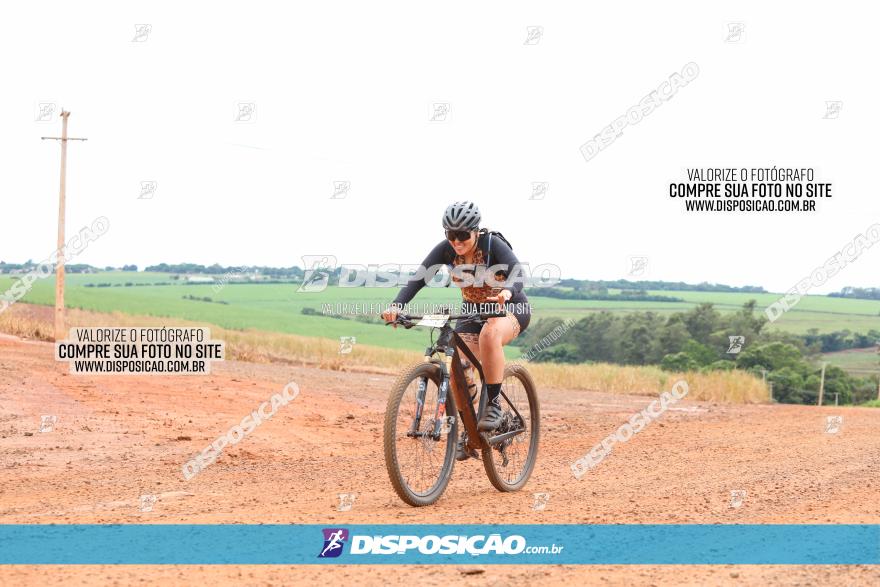 1ª EDIÇÃO DESAFIO ABELHA GRANDE - XCM