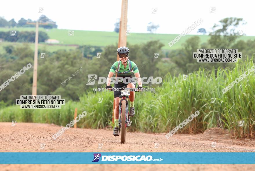 1ª EDIÇÃO DESAFIO ABELHA GRANDE - XCM