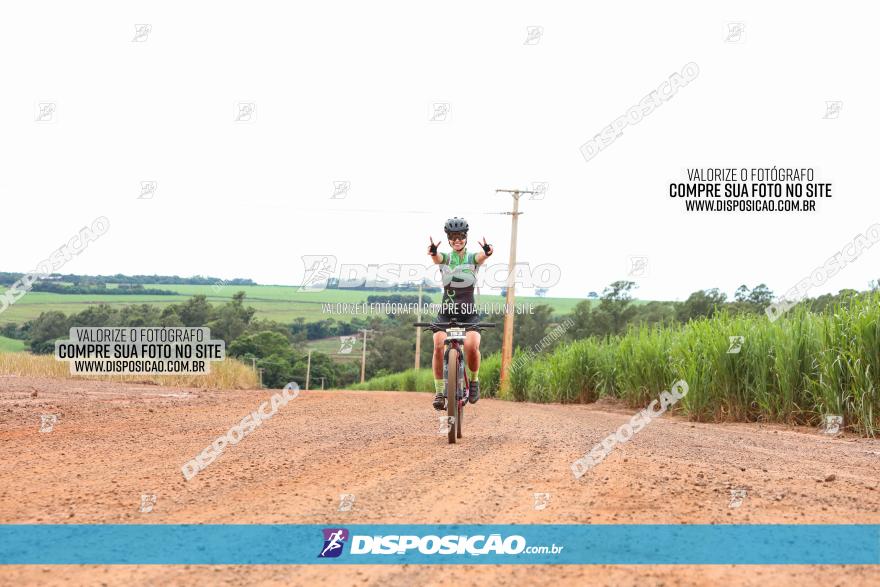 1ª EDIÇÃO DESAFIO ABELHA GRANDE - XCM