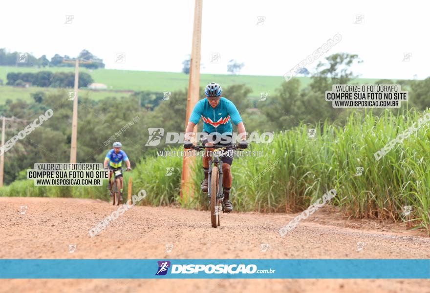 1ª EDIÇÃO DESAFIO ABELHA GRANDE - XCM