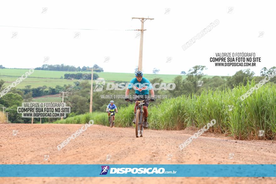 1ª EDIÇÃO DESAFIO ABELHA GRANDE - XCM