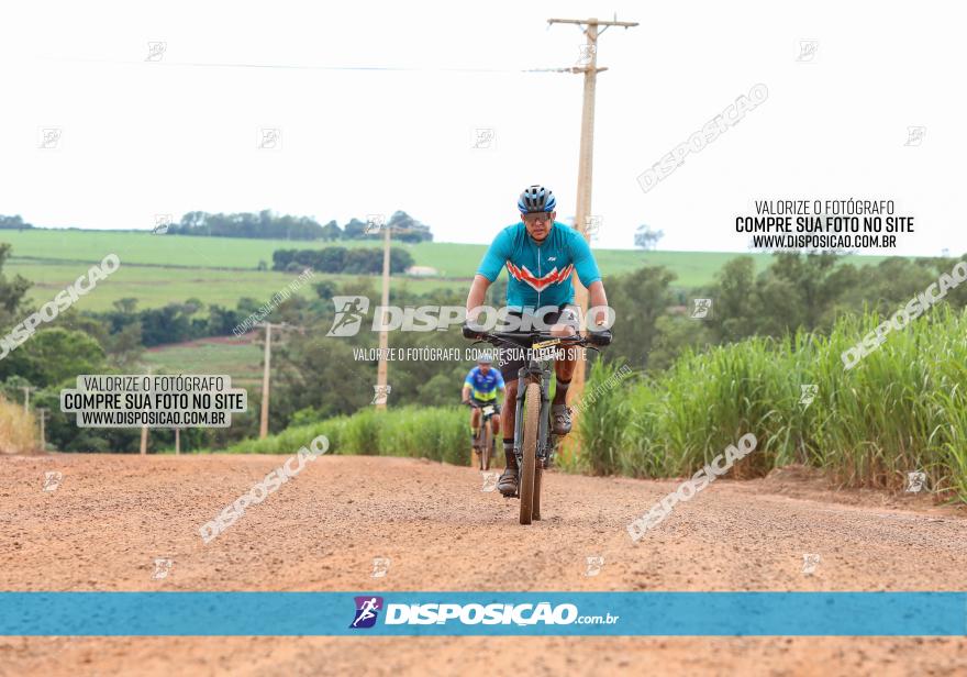 1ª EDIÇÃO DESAFIO ABELHA GRANDE - XCM