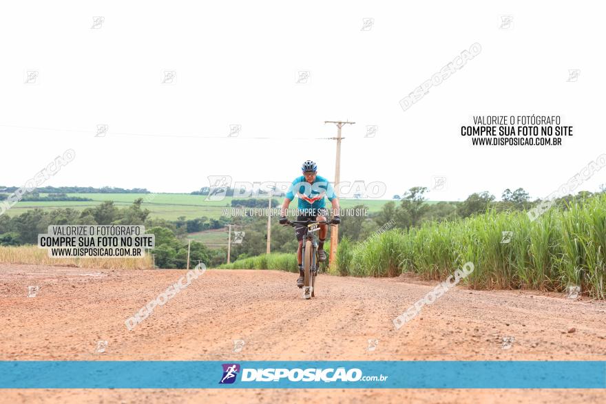 1ª EDIÇÃO DESAFIO ABELHA GRANDE - XCM