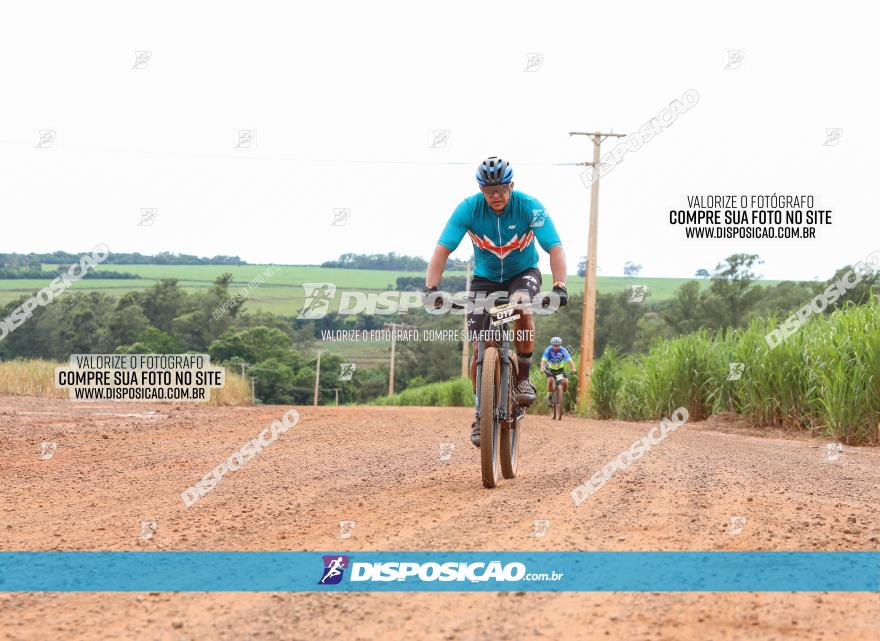 1ª EDIÇÃO DESAFIO ABELHA GRANDE - XCM