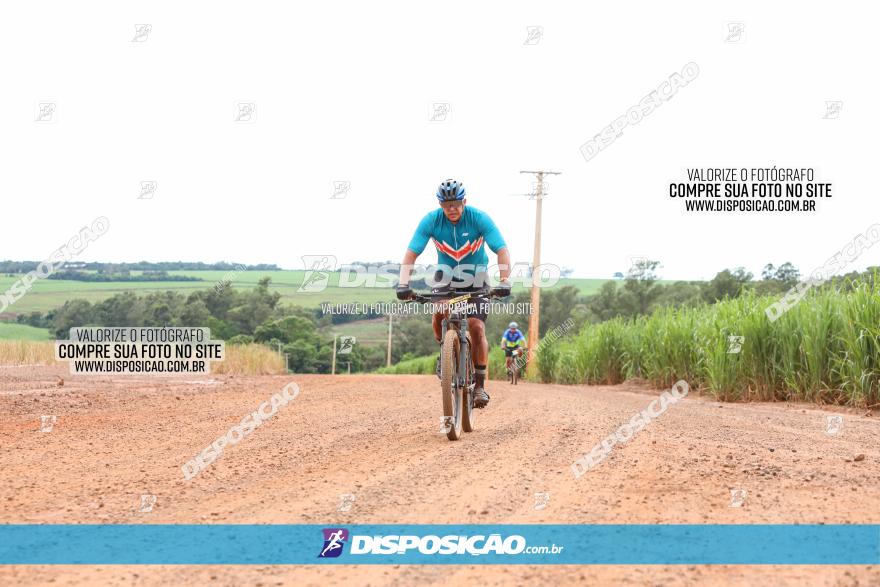 1ª EDIÇÃO DESAFIO ABELHA GRANDE - XCM