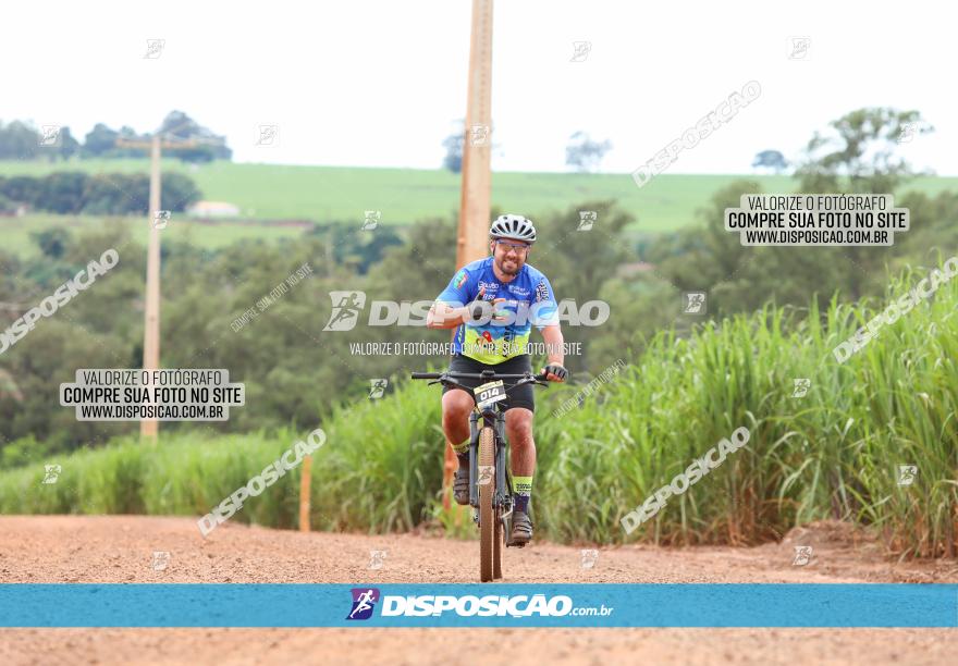 1ª EDIÇÃO DESAFIO ABELHA GRANDE - XCM