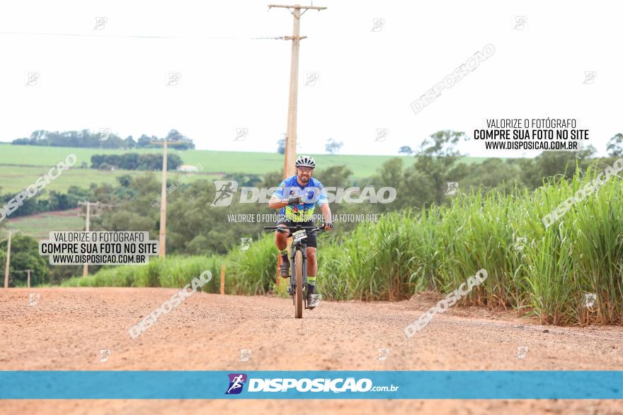 1ª EDIÇÃO DESAFIO ABELHA GRANDE - XCM