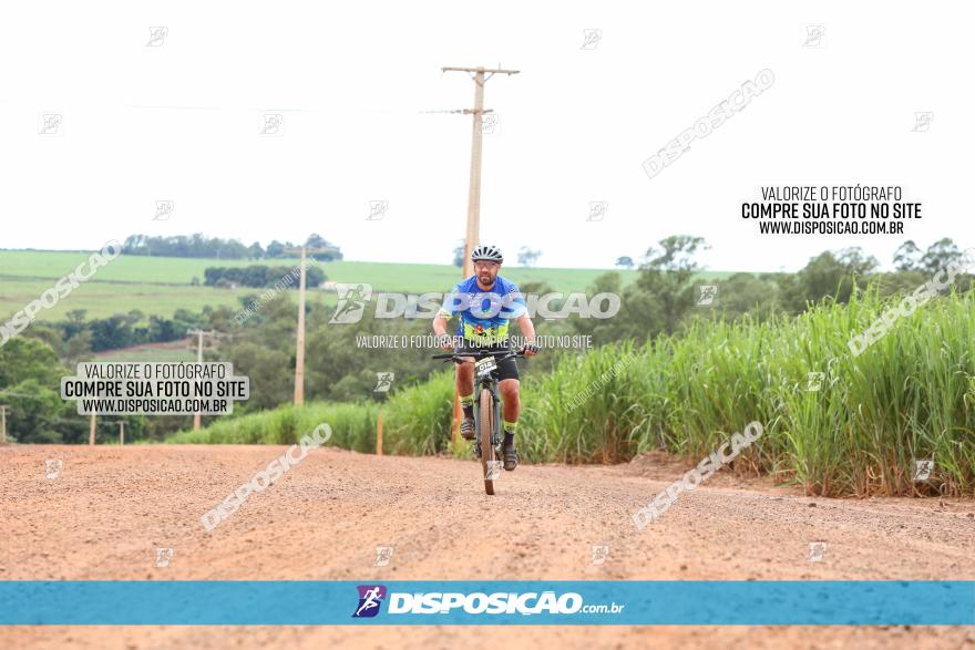 1ª EDIÇÃO DESAFIO ABELHA GRANDE - XCM