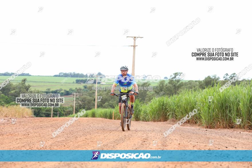 1ª EDIÇÃO DESAFIO ABELHA GRANDE - XCM