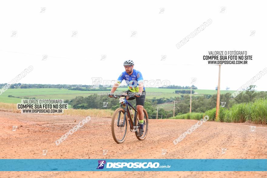 1ª EDIÇÃO DESAFIO ABELHA GRANDE - XCM