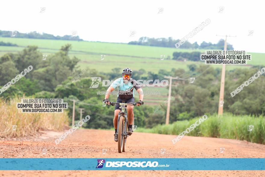 1ª EDIÇÃO DESAFIO ABELHA GRANDE - XCM