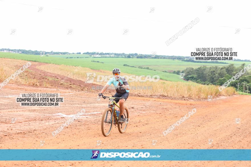 1ª EDIÇÃO DESAFIO ABELHA GRANDE - XCM