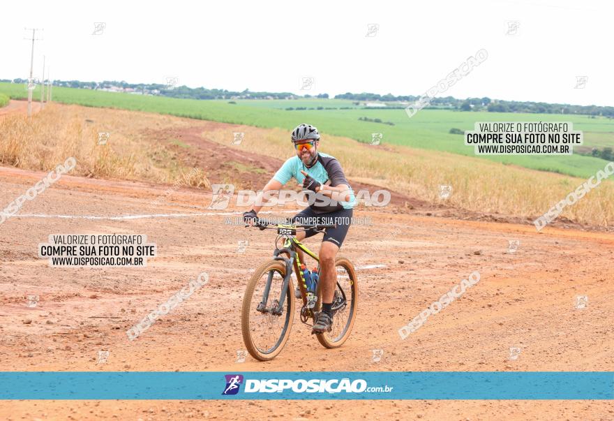 1ª EDIÇÃO DESAFIO ABELHA GRANDE - XCM