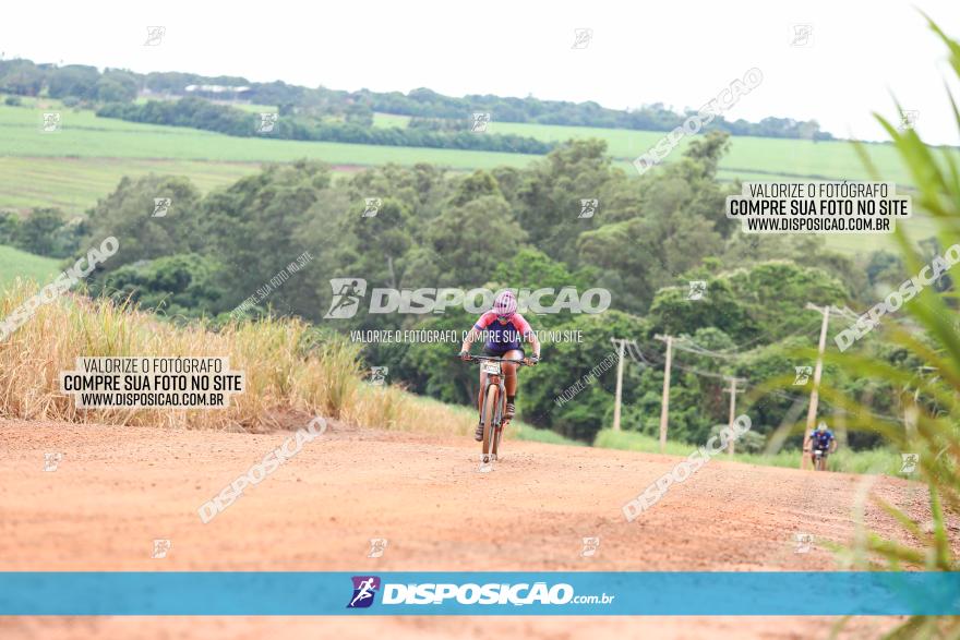 1ª EDIÇÃO DESAFIO ABELHA GRANDE - XCM