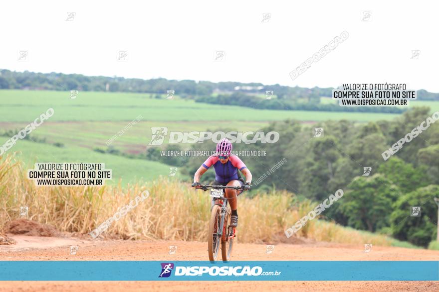 1ª EDIÇÃO DESAFIO ABELHA GRANDE - XCM