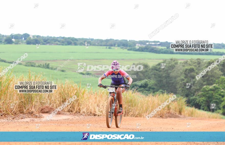 1ª EDIÇÃO DESAFIO ABELHA GRANDE - XCM