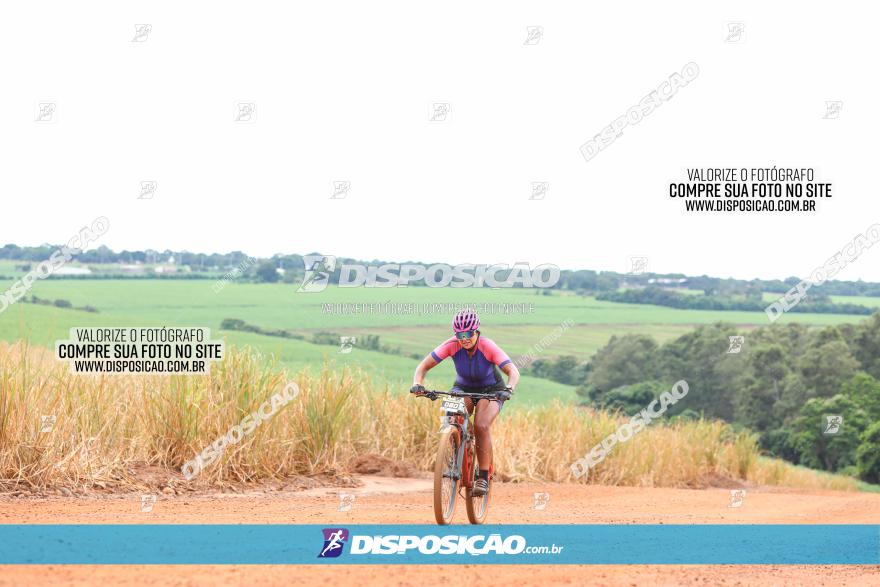 1ª EDIÇÃO DESAFIO ABELHA GRANDE - XCM