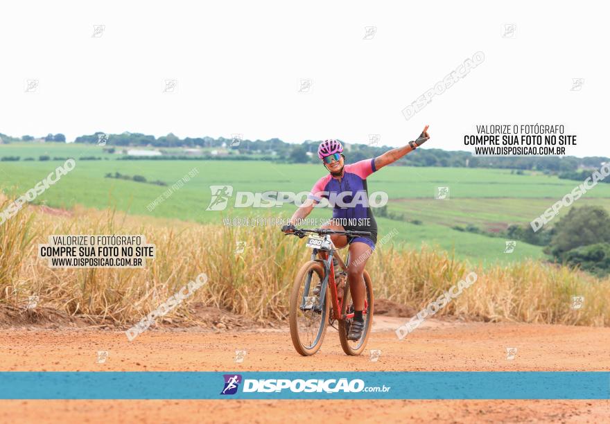 1ª EDIÇÃO DESAFIO ABELHA GRANDE - XCM