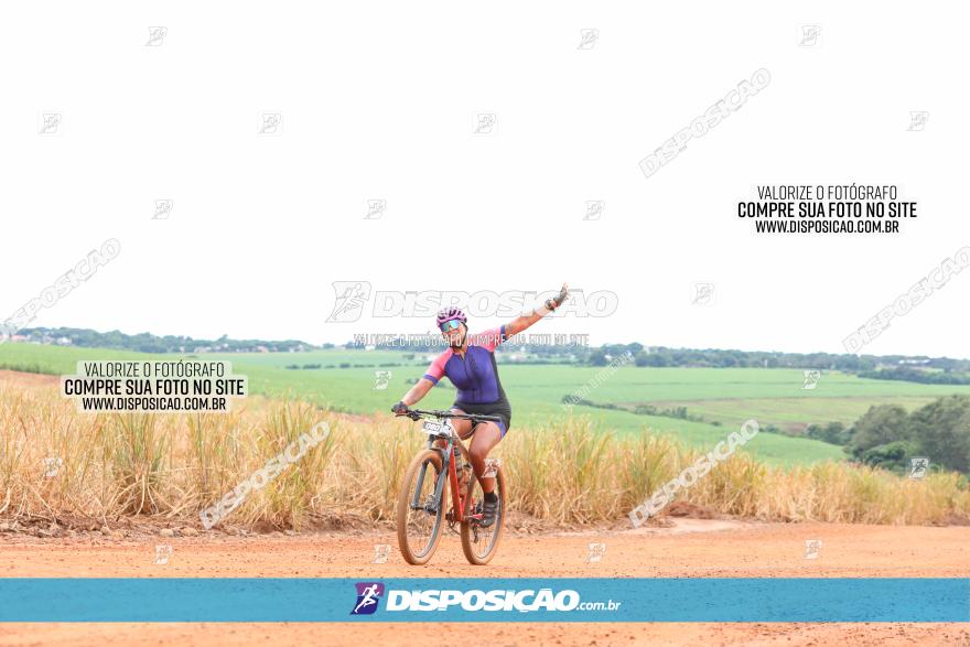 1ª EDIÇÃO DESAFIO ABELHA GRANDE - XCM