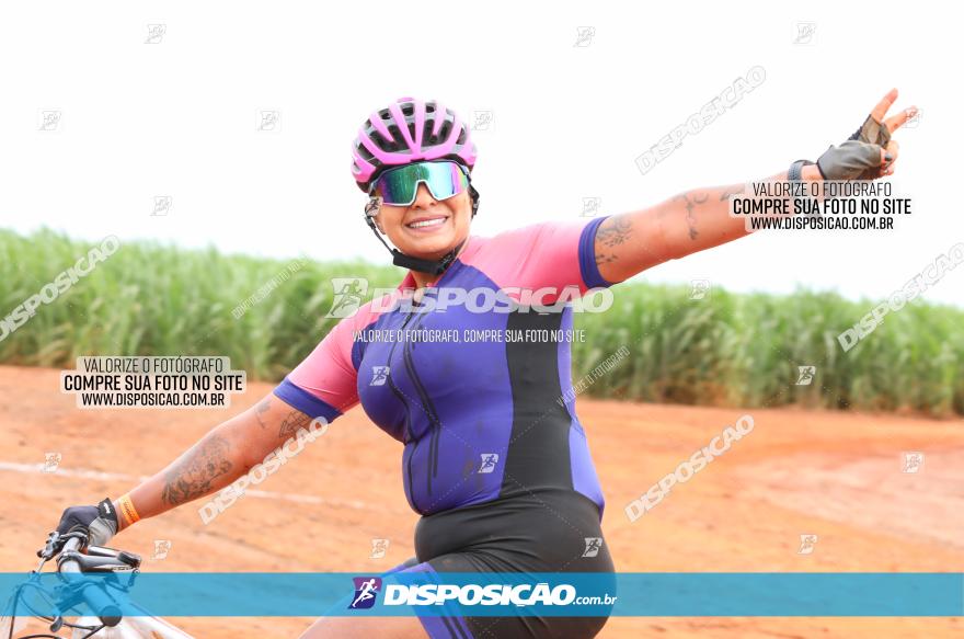 1ª EDIÇÃO DESAFIO ABELHA GRANDE - XCM