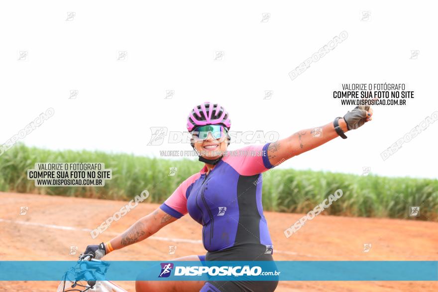 1ª EDIÇÃO DESAFIO ABELHA GRANDE - XCM