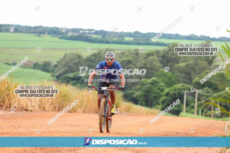 1ª EDIÇÃO DESAFIO ABELHA GRANDE - XCM