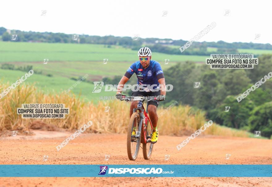 1ª EDIÇÃO DESAFIO ABELHA GRANDE - XCM