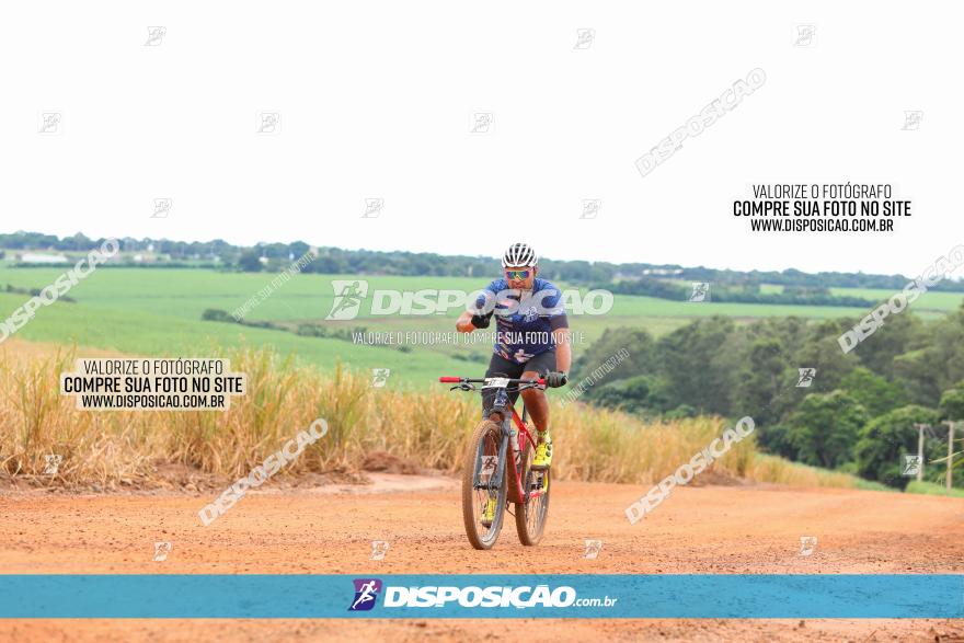 1ª EDIÇÃO DESAFIO ABELHA GRANDE - XCM