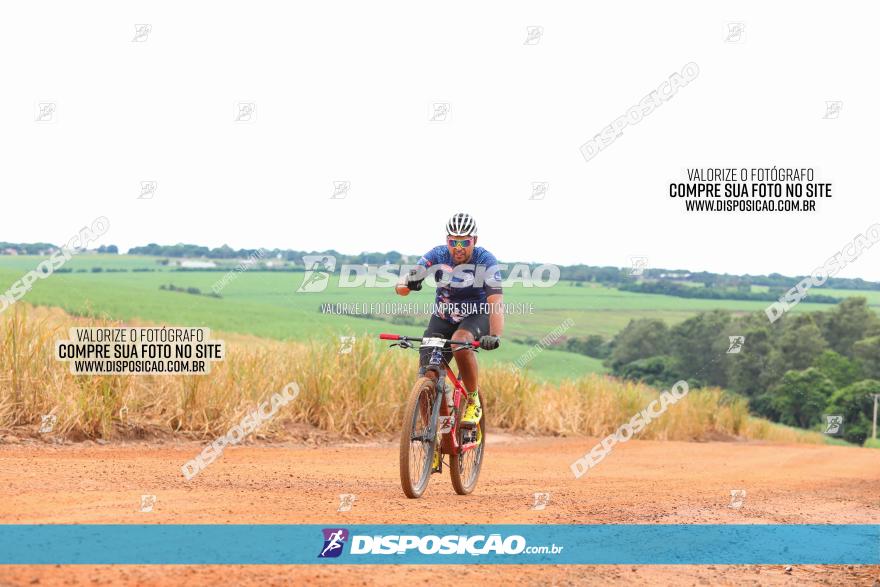 1ª EDIÇÃO DESAFIO ABELHA GRANDE - XCM