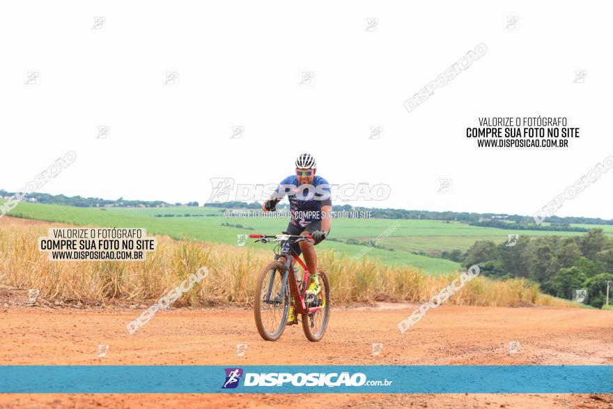 1ª EDIÇÃO DESAFIO ABELHA GRANDE - XCM