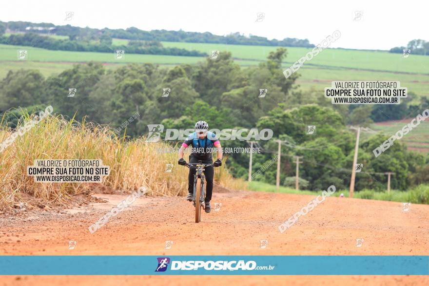 1ª EDIÇÃO DESAFIO ABELHA GRANDE - XCM