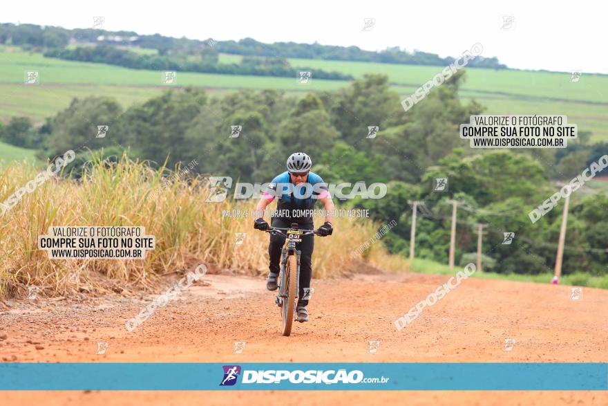 1ª EDIÇÃO DESAFIO ABELHA GRANDE - XCM