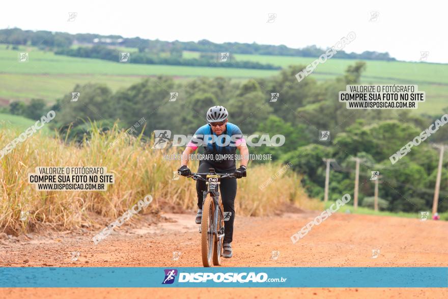 1ª EDIÇÃO DESAFIO ABELHA GRANDE - XCM