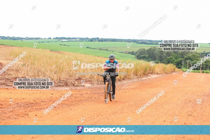 1ª EDIÇÃO DESAFIO ABELHA GRANDE - XCM