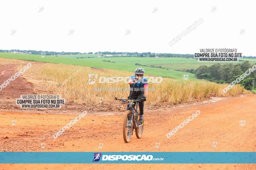 1ª EDIÇÃO DESAFIO ABELHA GRANDE - XCM