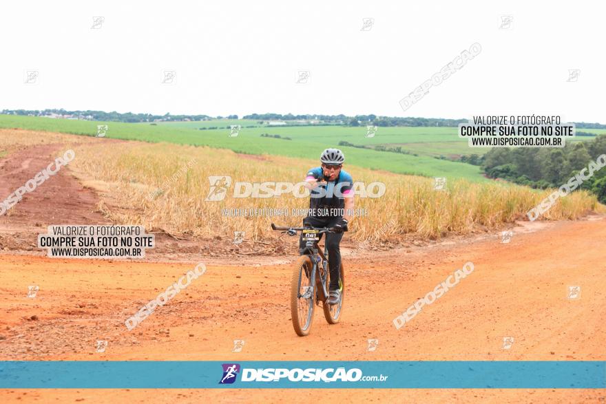 1ª EDIÇÃO DESAFIO ABELHA GRANDE - XCM