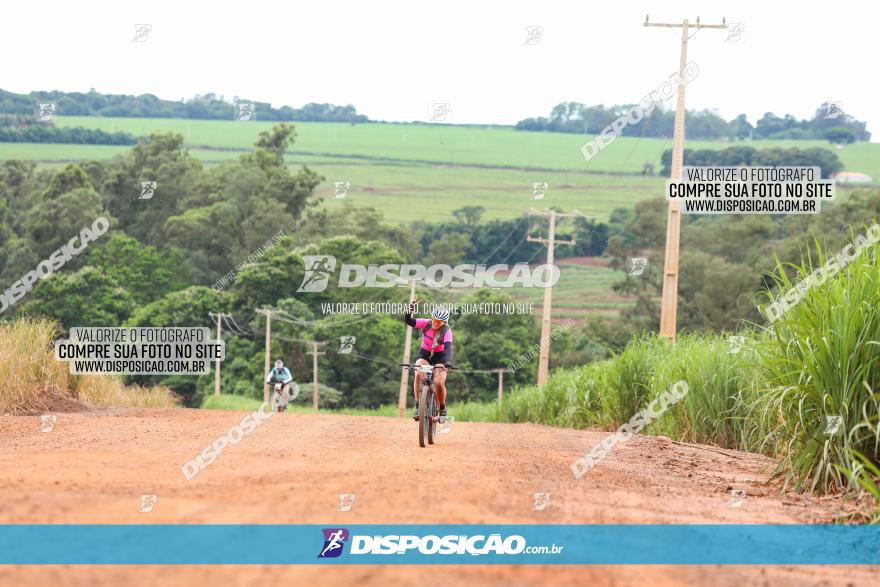 1ª EDIÇÃO DESAFIO ABELHA GRANDE - XCM