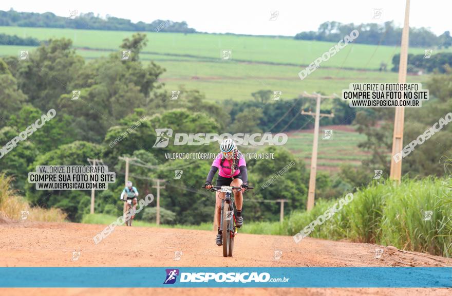 1ª EDIÇÃO DESAFIO ABELHA GRANDE - XCM