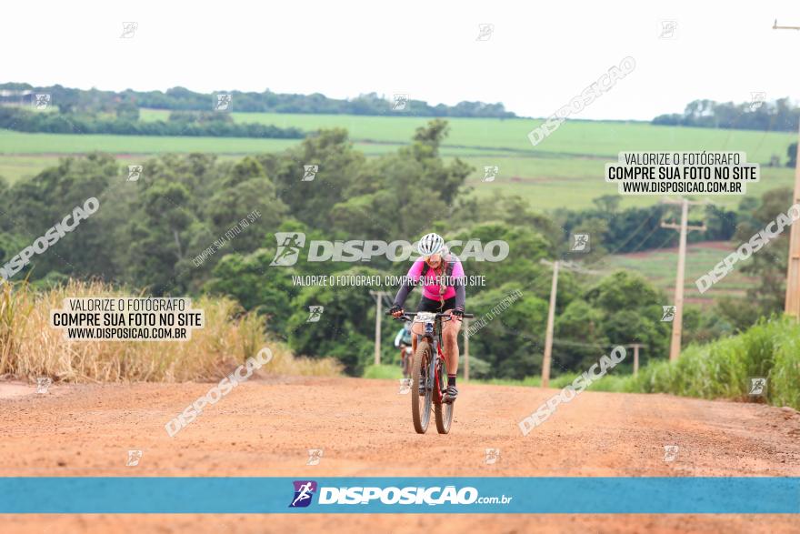 1ª EDIÇÃO DESAFIO ABELHA GRANDE - XCM