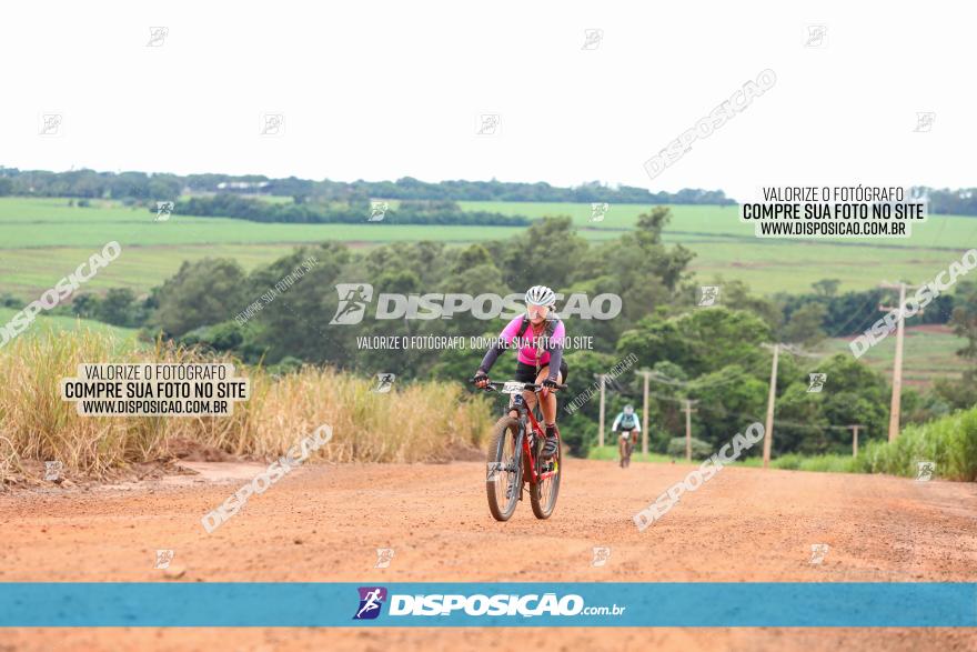 1ª EDIÇÃO DESAFIO ABELHA GRANDE - XCM