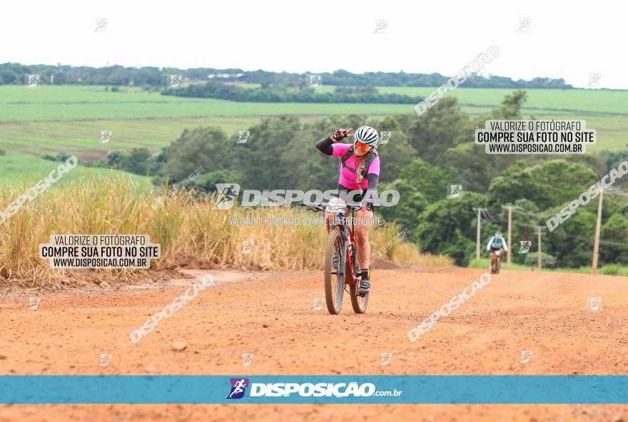 1ª EDIÇÃO DESAFIO ABELHA GRANDE - XCM