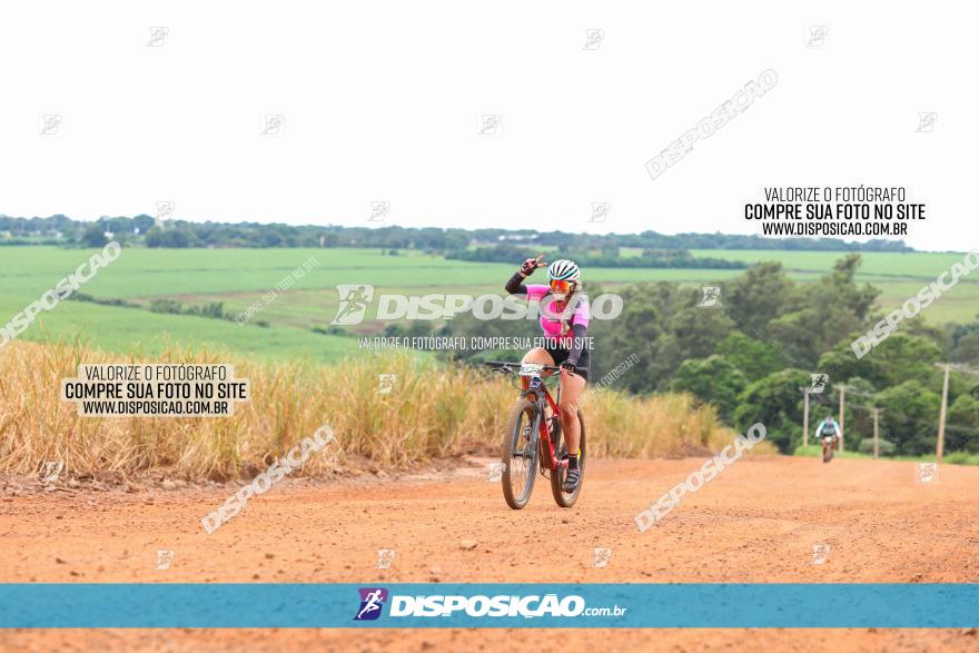 1ª EDIÇÃO DESAFIO ABELHA GRANDE - XCM