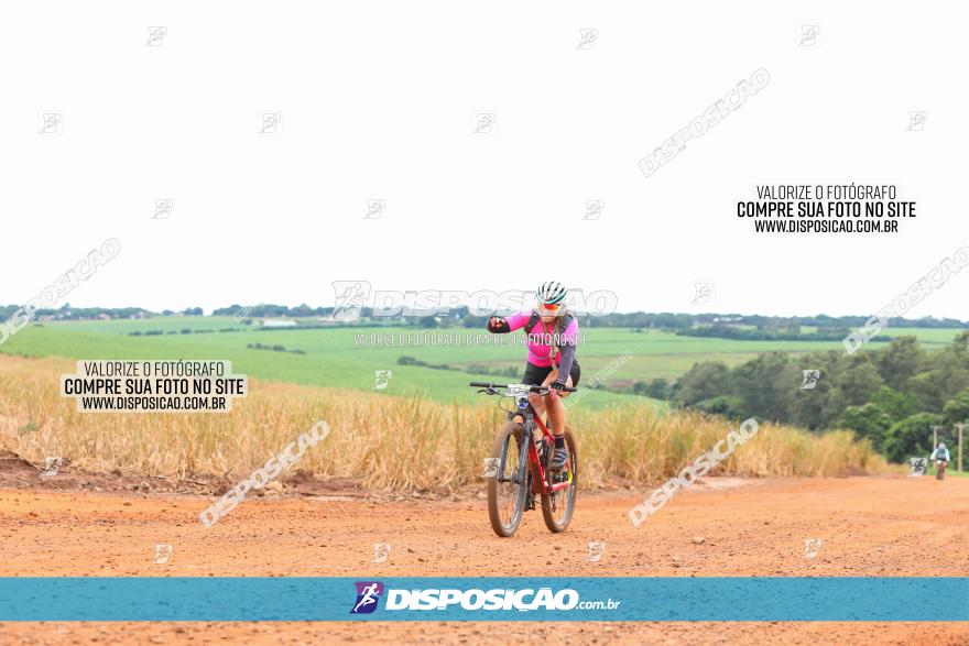 1ª EDIÇÃO DESAFIO ABELHA GRANDE - XCM